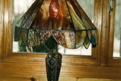 Lampshade Beauty