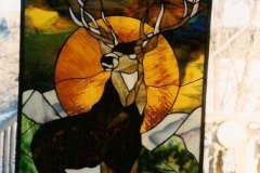 Stag Buck
